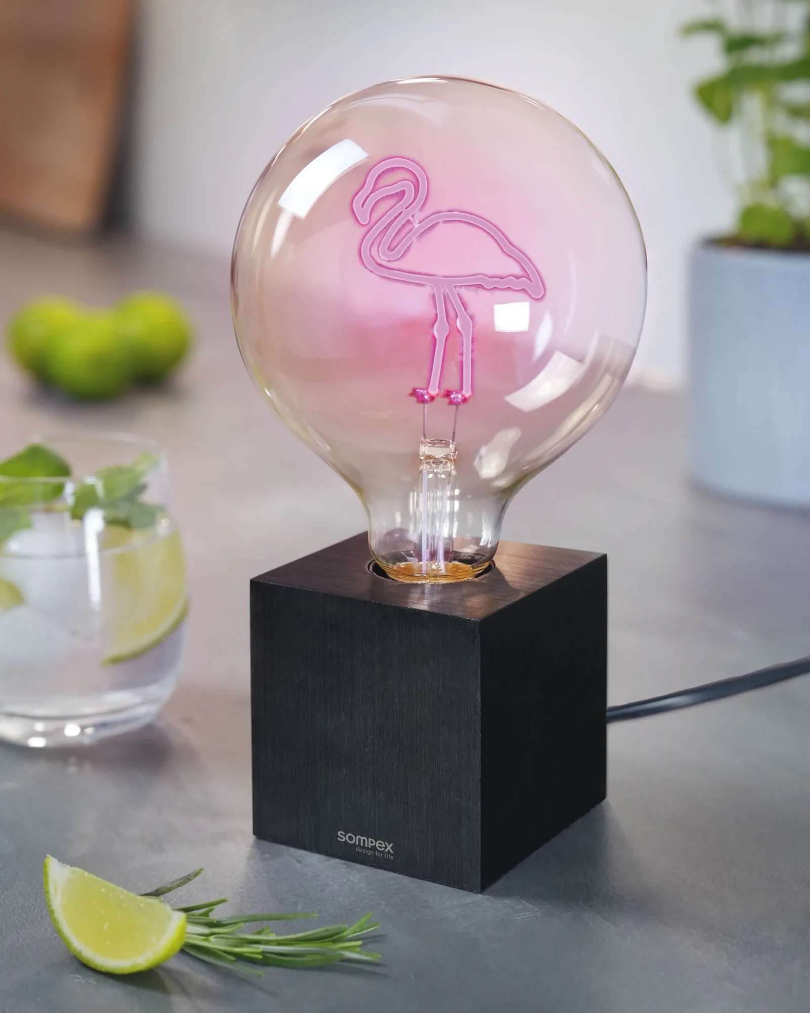 LED Leuchtmittel – Flamingo by Sompex – Bild 3